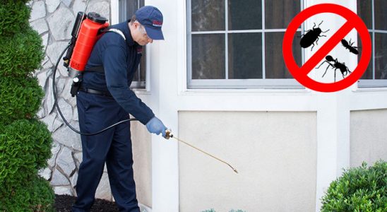 Tuzla Gümüşkurt İlaçlama böcek ilaçlama ve haşere kontrolü — ilaclama-tr.com